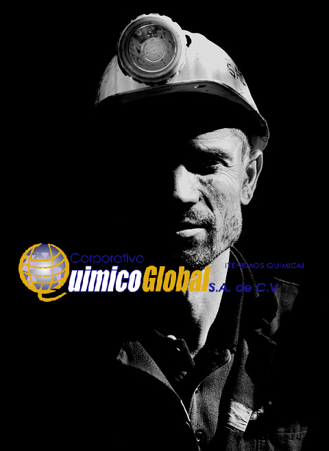 Día del Minero en México